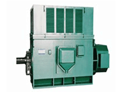 Y6303-8YR高压三相异步电机生产厂家