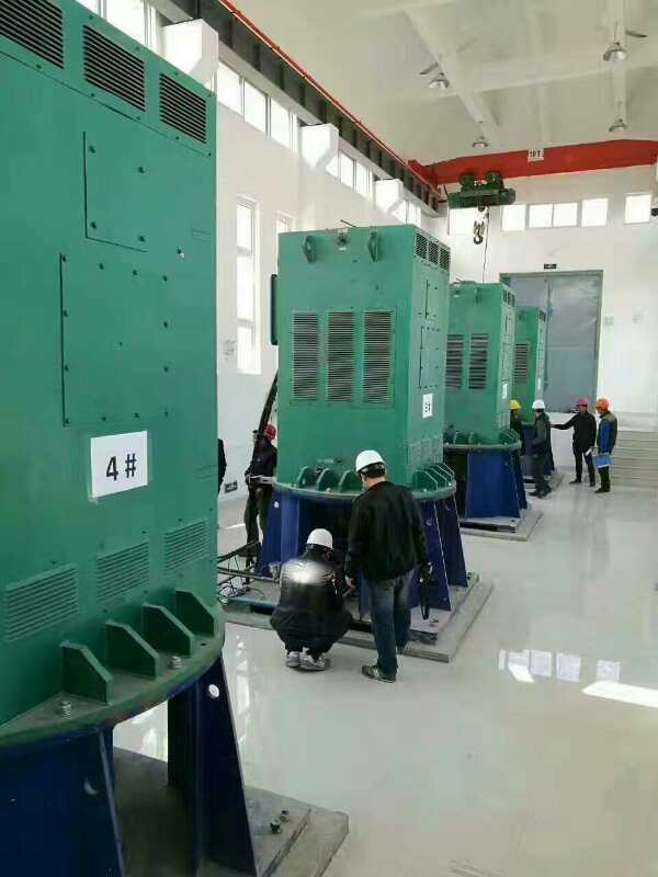 Y6303-8某污水处理厂使用我厂的立式高压电机安装现场