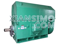 Y6303-8YXKK(2极)高效高压电机技术参数
