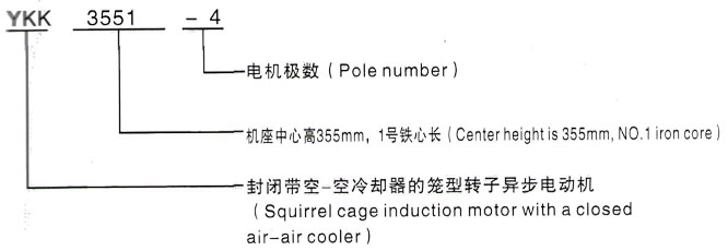 YKK系列(H355-1000)高压Y6303-8三相异步电机西安泰富西玛电机型号说明