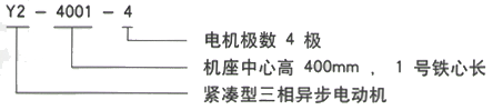 YR系列(H355-1000)高压Y6303-8三相异步电机西安西玛电机型号说明